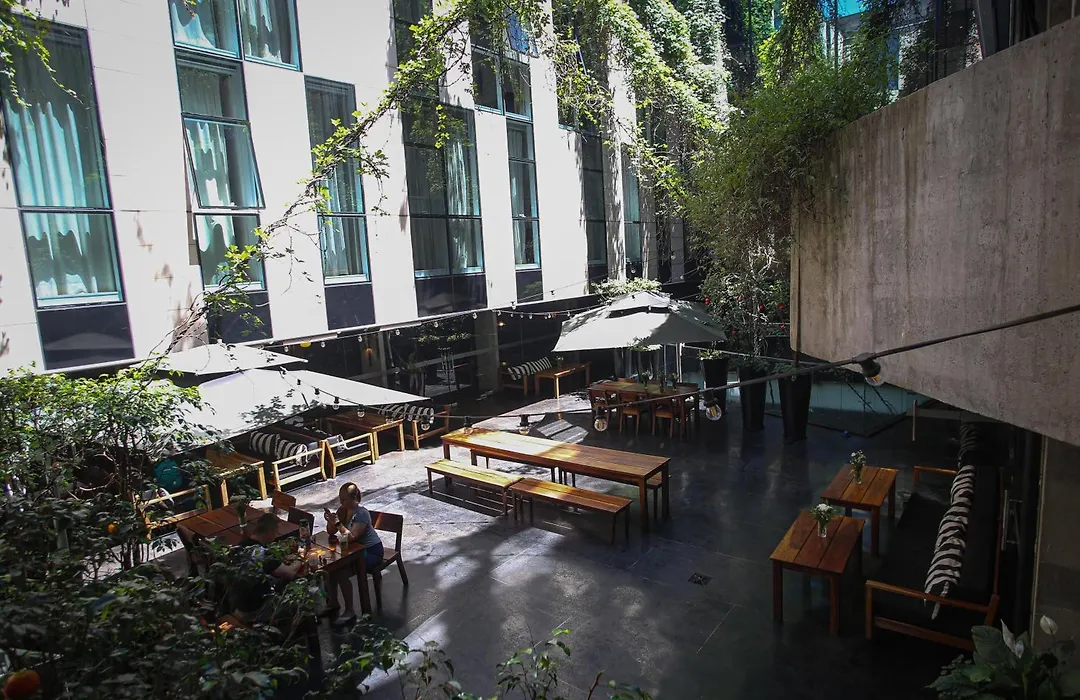 Anselmo Buenos Aires, Curio Collection by Hilton-1