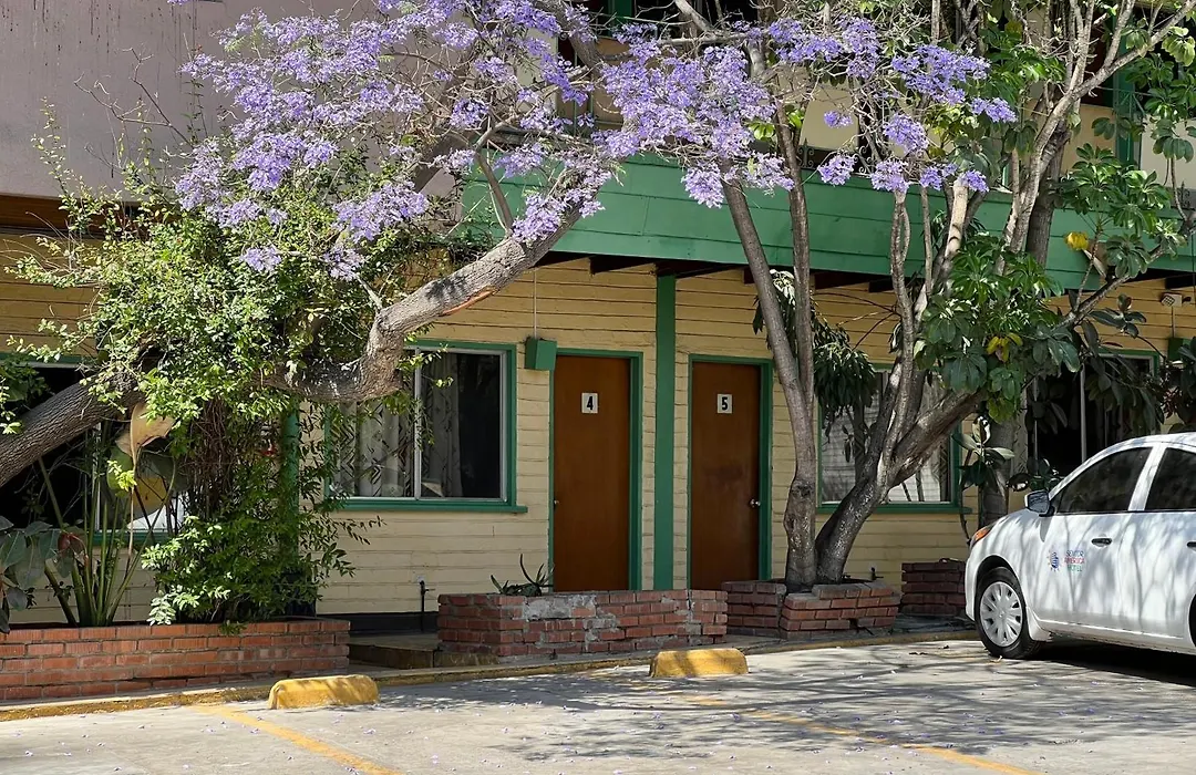 Motel Maya-1