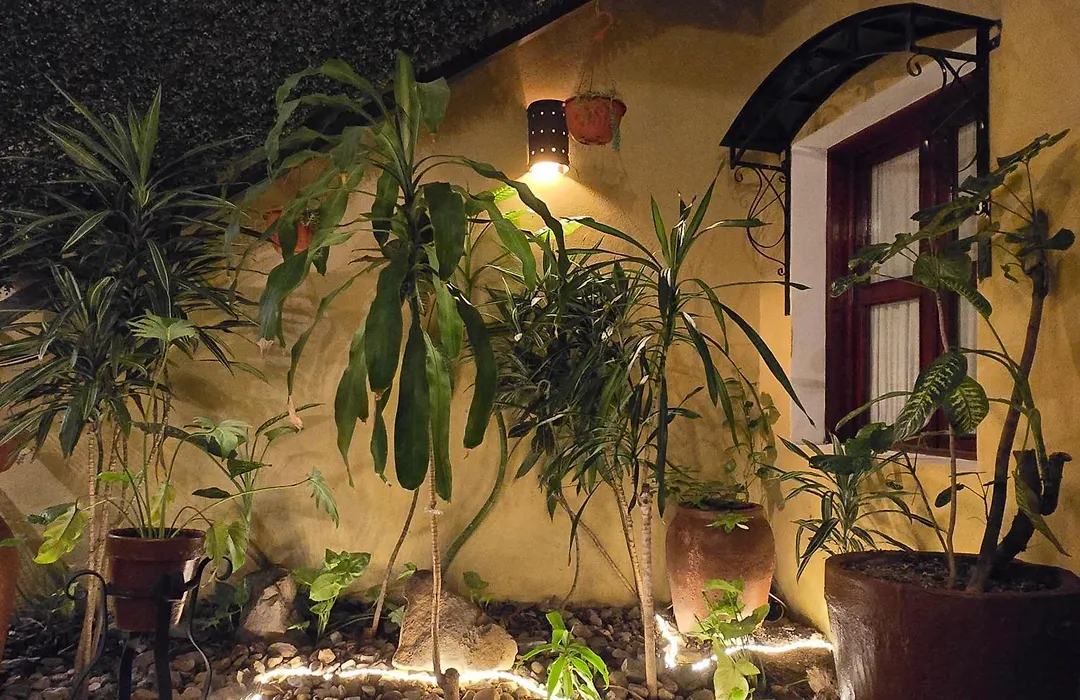 Hotel Casa Divina Oaxaca-1