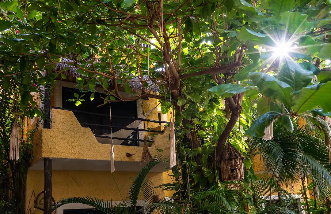 Hotel Casa Colibri-1