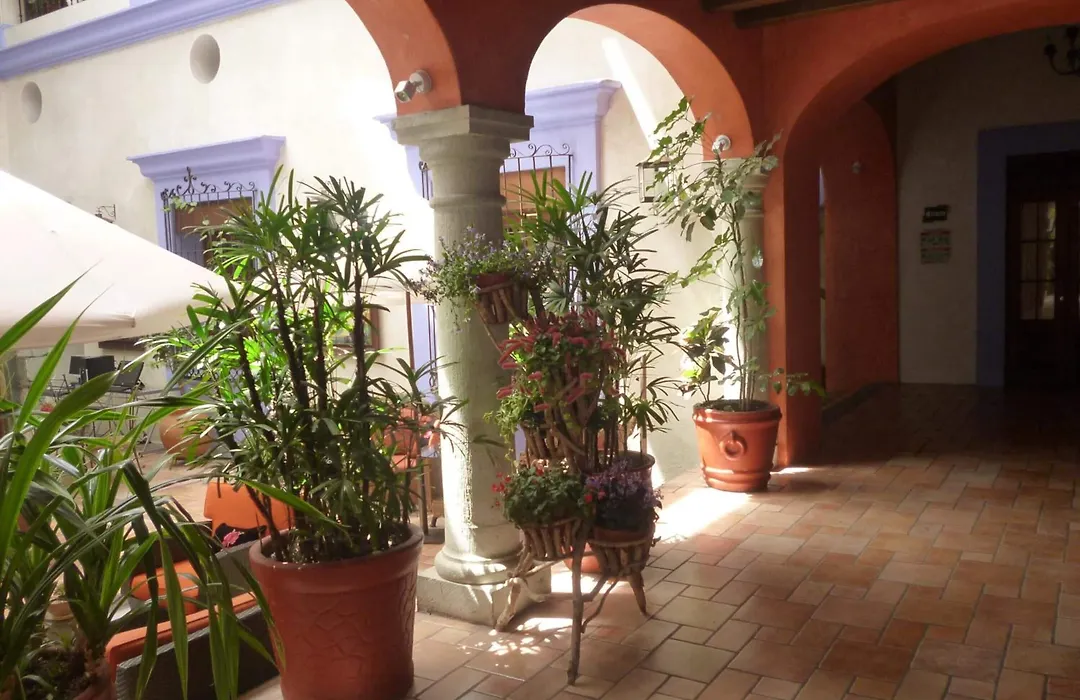 Hotel Trébol-1