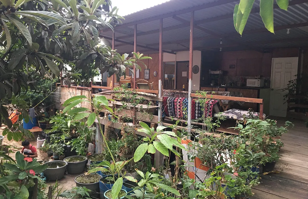 La Casa Del Nenufar-1