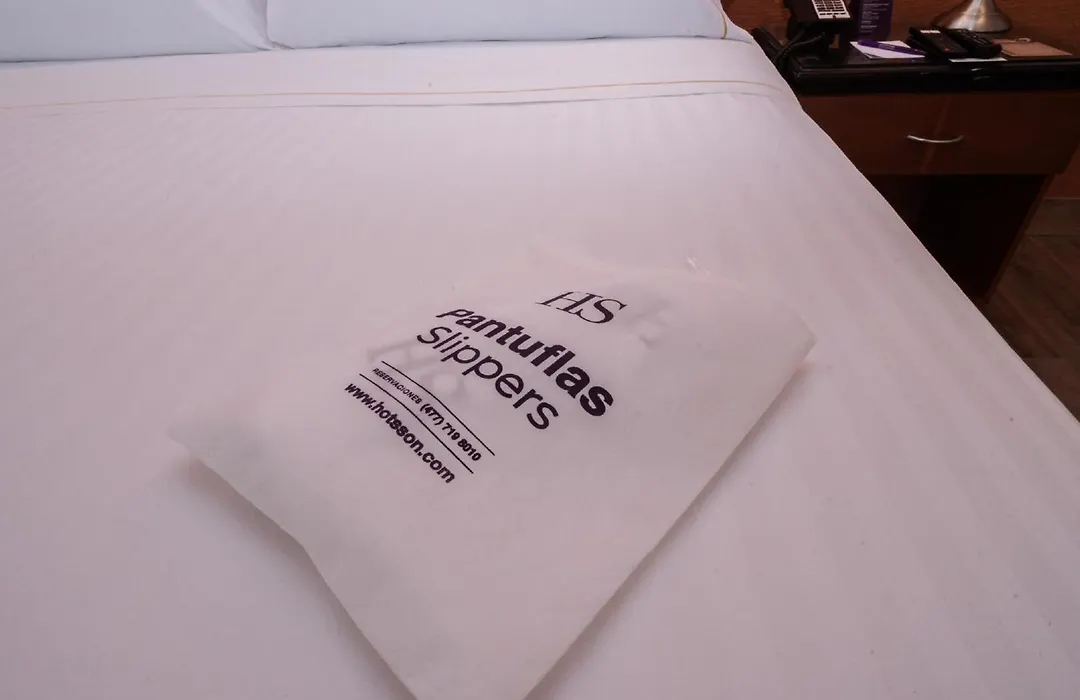 Hs Hotsson Hotel Tampico-1