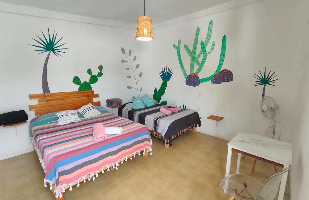 Hostel Casa Maguey-1