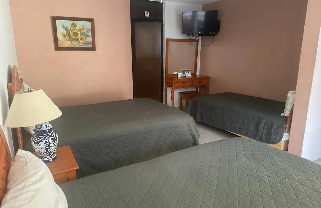 Hotel Mesón del Bosque-1