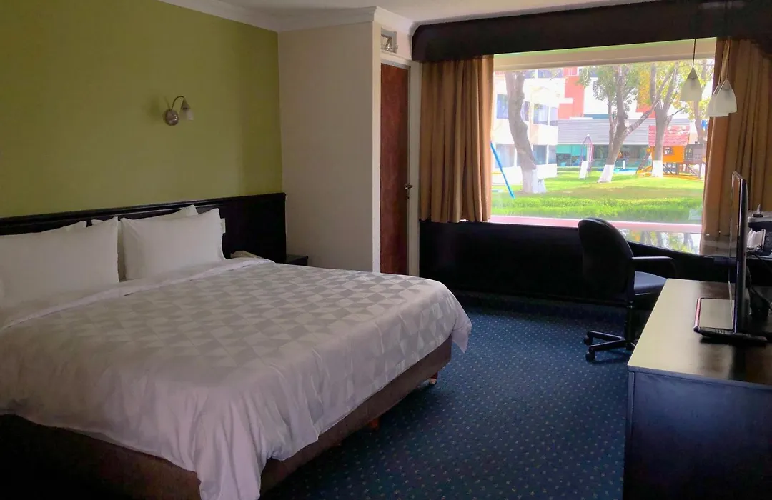 Holiday Inn San Luis Potosi-Quijote By Ihg-1