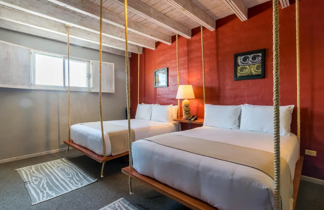 Hotel Damiana Boutique-1