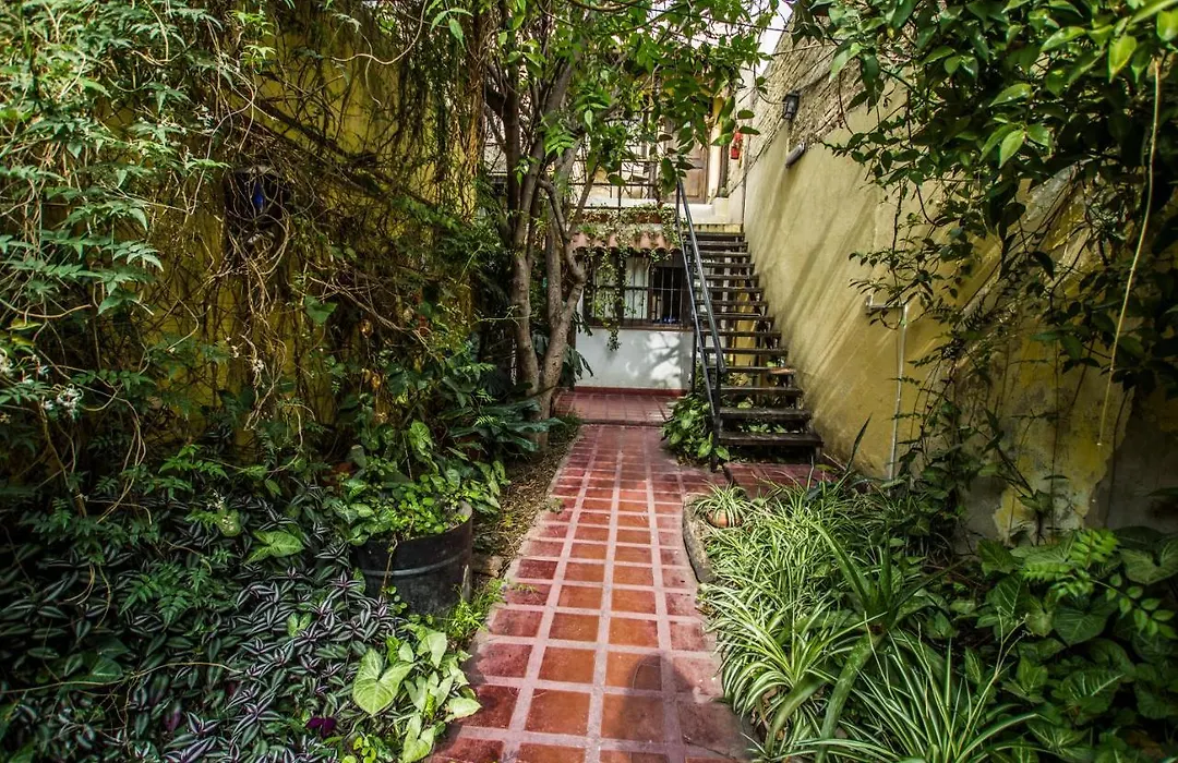 La Casita de Salta - Dpto 2 para 5 personas con patio interno y asador, vista al jardin - Tu descanso en el norte empieza aquí-1