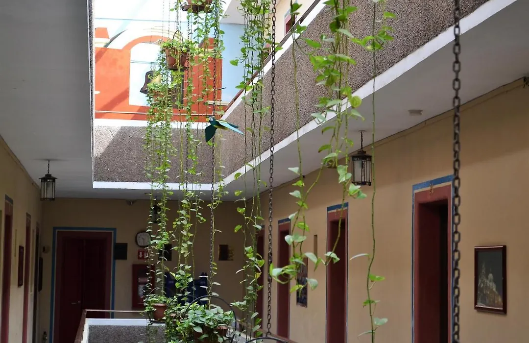 Hotel Janeiro-1