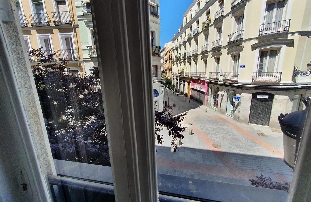 Plaza Dort Rooms IV-1