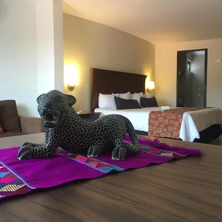 Palmareca Inn-Suites-Studio-2