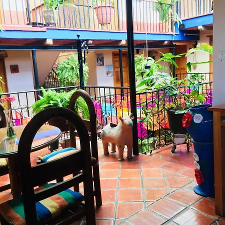Hotel Cazomalli Oaxaca-3