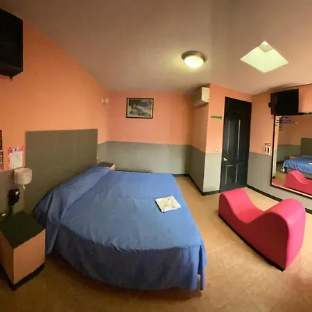 Motel Flamingos-3