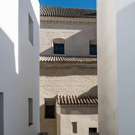 Le Petit Palü Sevilla-3