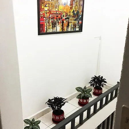 Terraza Tlalpan-Acoxpa-3