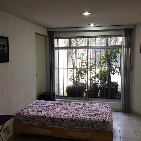 Terraza Tlalpan-Acoxpa-2