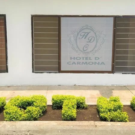 Hotel D' Carmona-3
