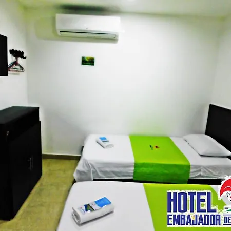 Hotel Embajador del Llano-2
