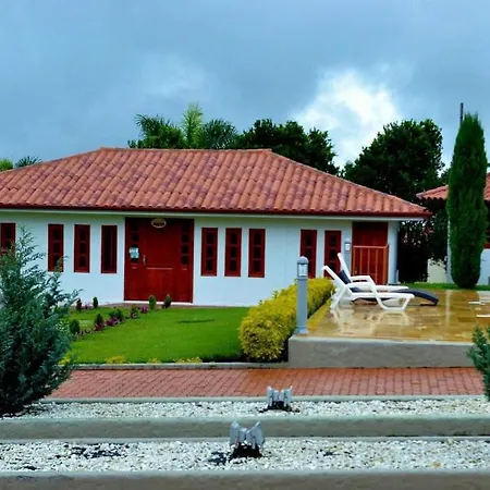 Hotel Confort Cafetero-2