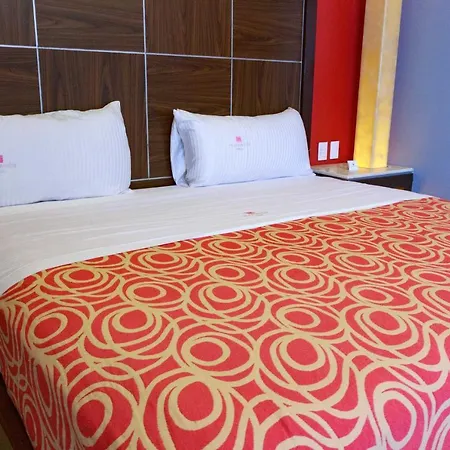 Plutarco Suites-2