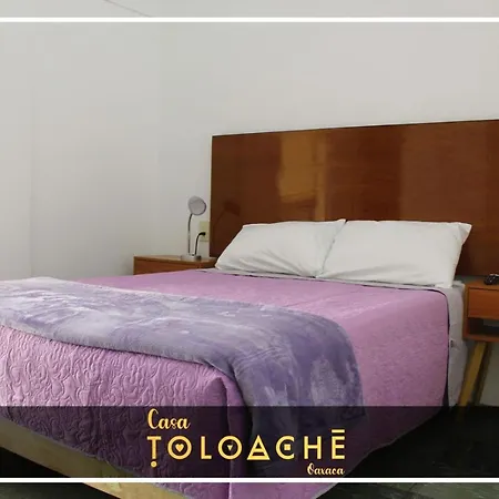 Casa Toloache-2