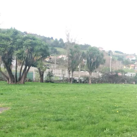 Las Palmeras-3