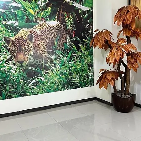 Hotel Real Jaguar-3