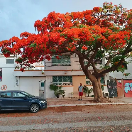 Casa Flamboyant-2