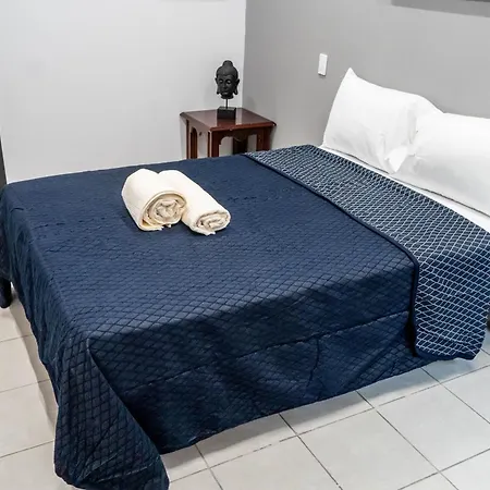 Casa Salazar Guadalajara-3