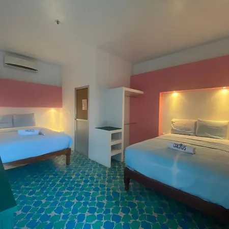 Hotel Casa Cactus HCC-3