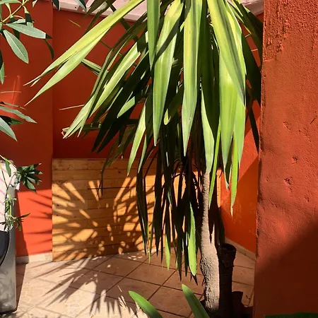 Villa Coyoacan-3
