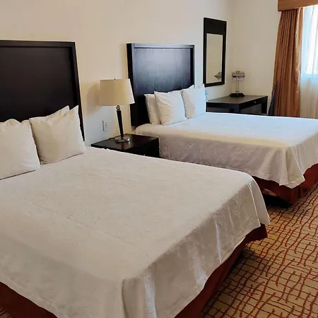 Wyndham Garden Torreon Tecnologico-2