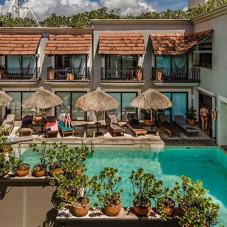 Caribbean Paradise Hotel & Spa - 5Th Avenue-2