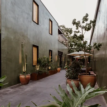 Majagua Hotel Boutique -Adults Only-3