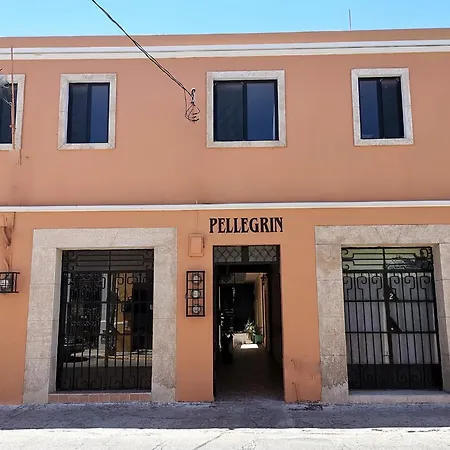 Hotel Casa Pellegrin-3