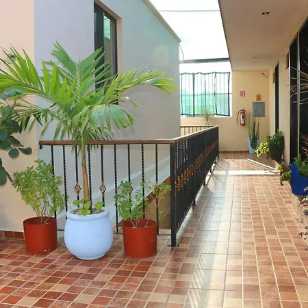 Hotel Casa Pellegrin-2