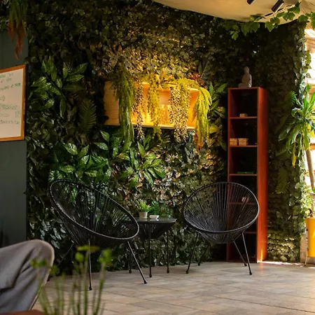 Oasis Hostel Medellin-3