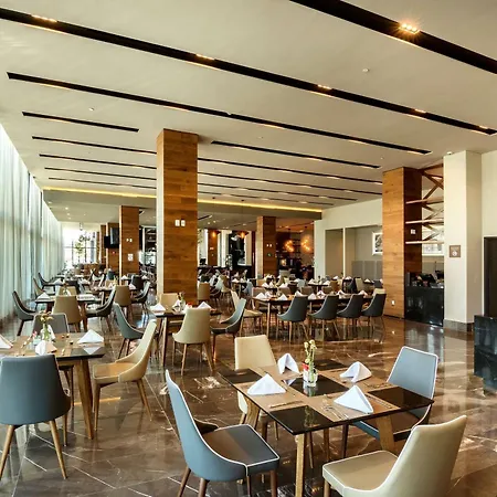 Hilton Garden Inn Aguascalientes-3