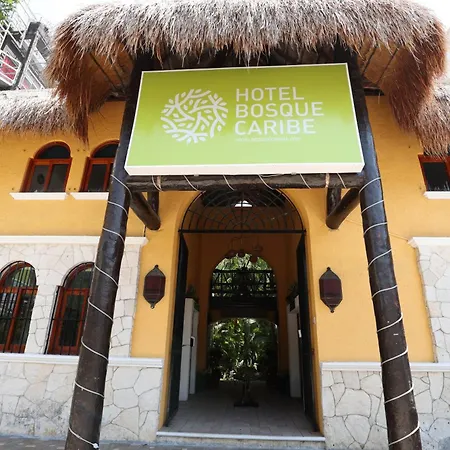 Hotel Bosque Caribe, 5Th Av. Zone-3