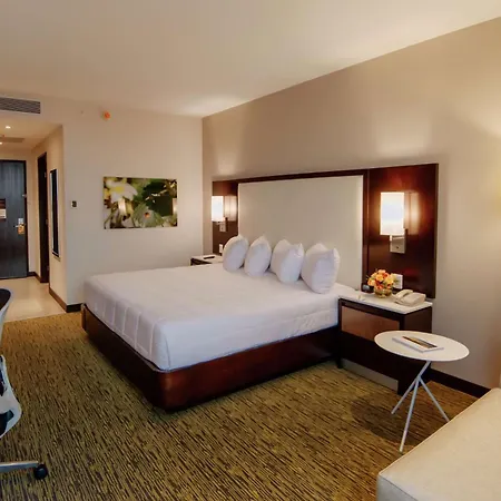 Hilton Garden Inn Puebla Angelopolis-2