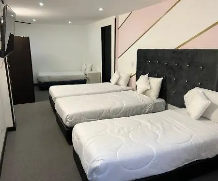 Hotel Star Plus-2