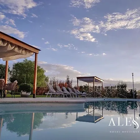 Alesia - Boutique Hotel & Spa-2