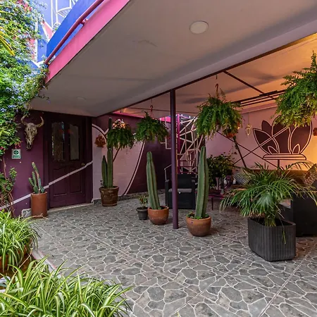 Welcome to... Casa Maguey.-3