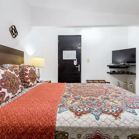 Suites 259 Condesa-2