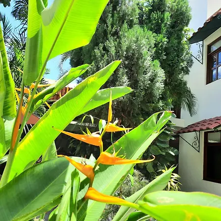 Casa los Cantaros Hotel Boutique-3