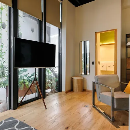 Casa Wynwood Roma Norte-2