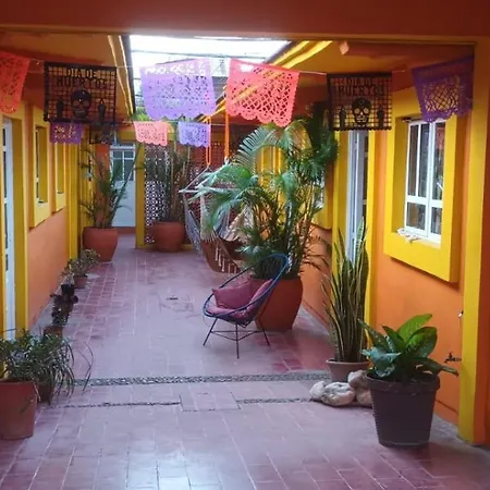 Hostal Zipolite Melchor Ocampo-3