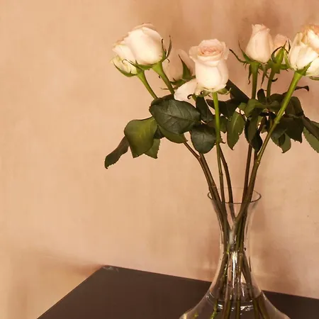 Rosas & Xocolate Boutique Hotel And Spa Merida, A Member Of Design Hotels-3
