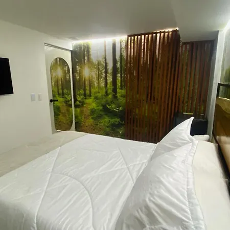 Maidy Luxury Hotel-2