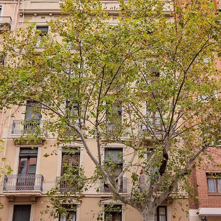 Sweett - Urgell Eixample-2
